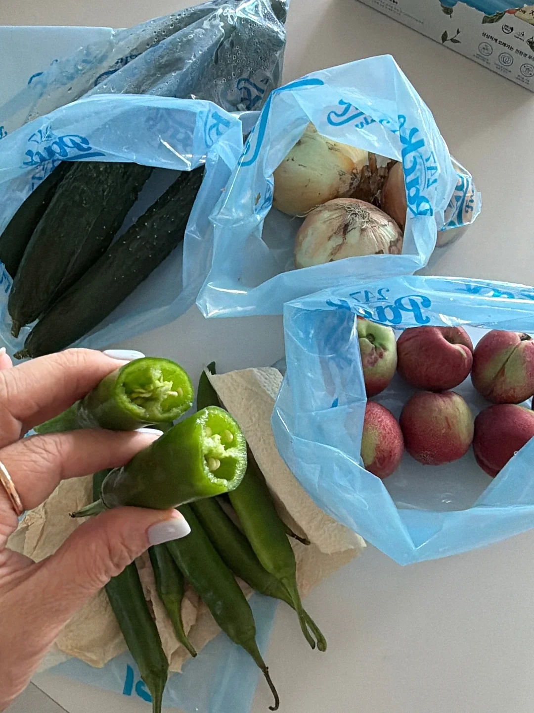 레드 쪼리 10