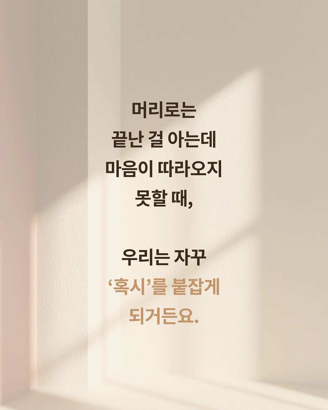 보보담 러넌 2단케이크 4
