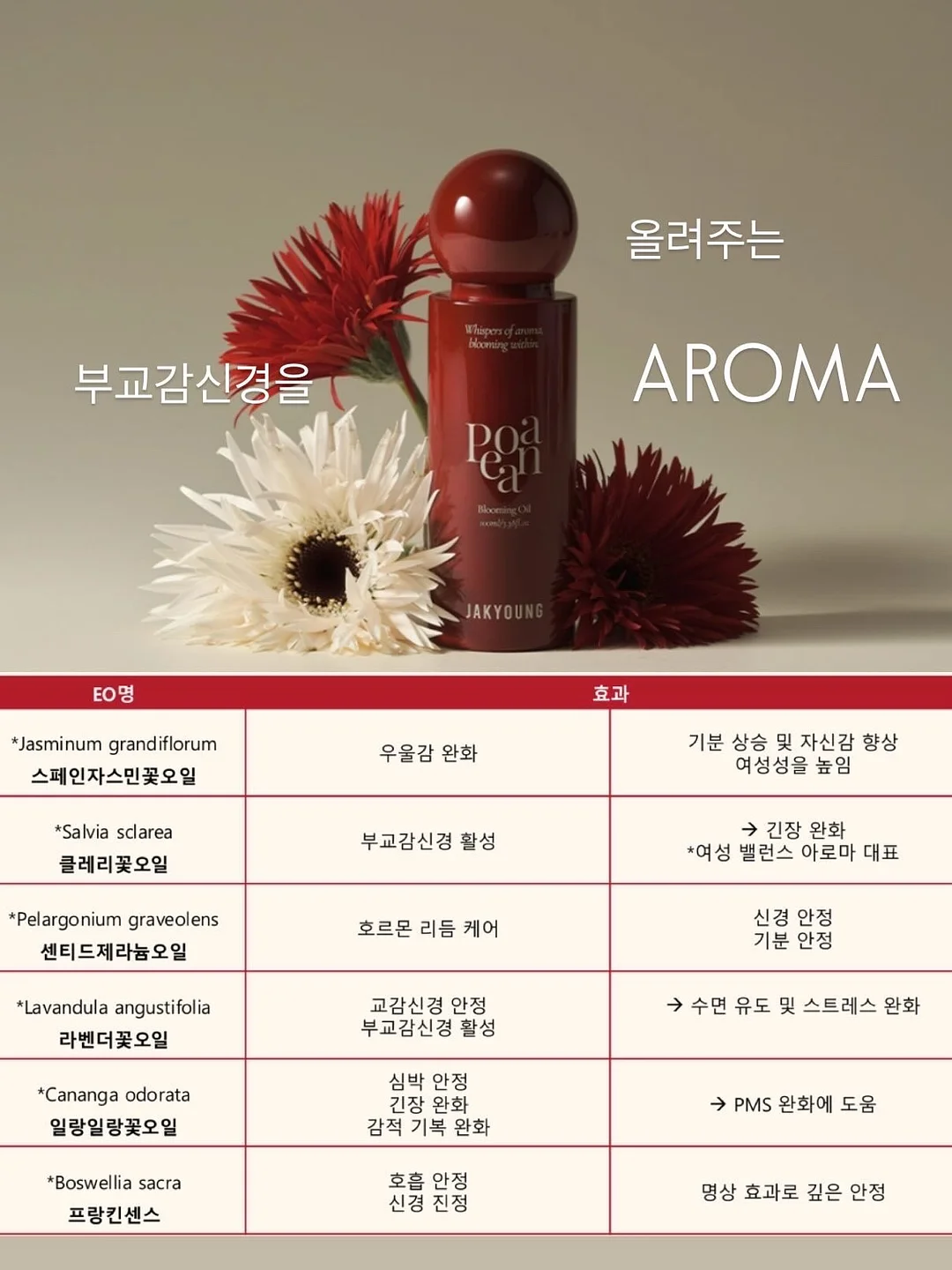 알텐바흐 통 5중 프라이팬 3