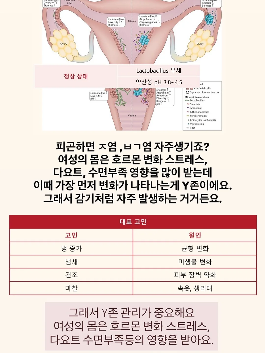 알텐바흐 통 5중 프라이팬 4