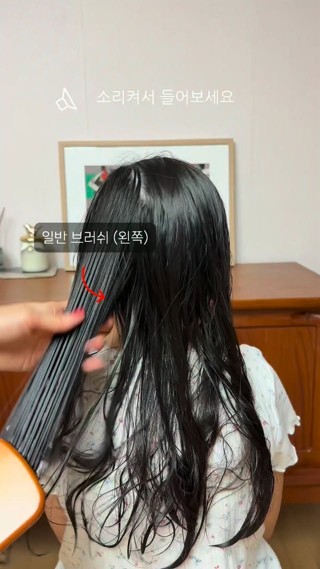 유기농 사과 10kg