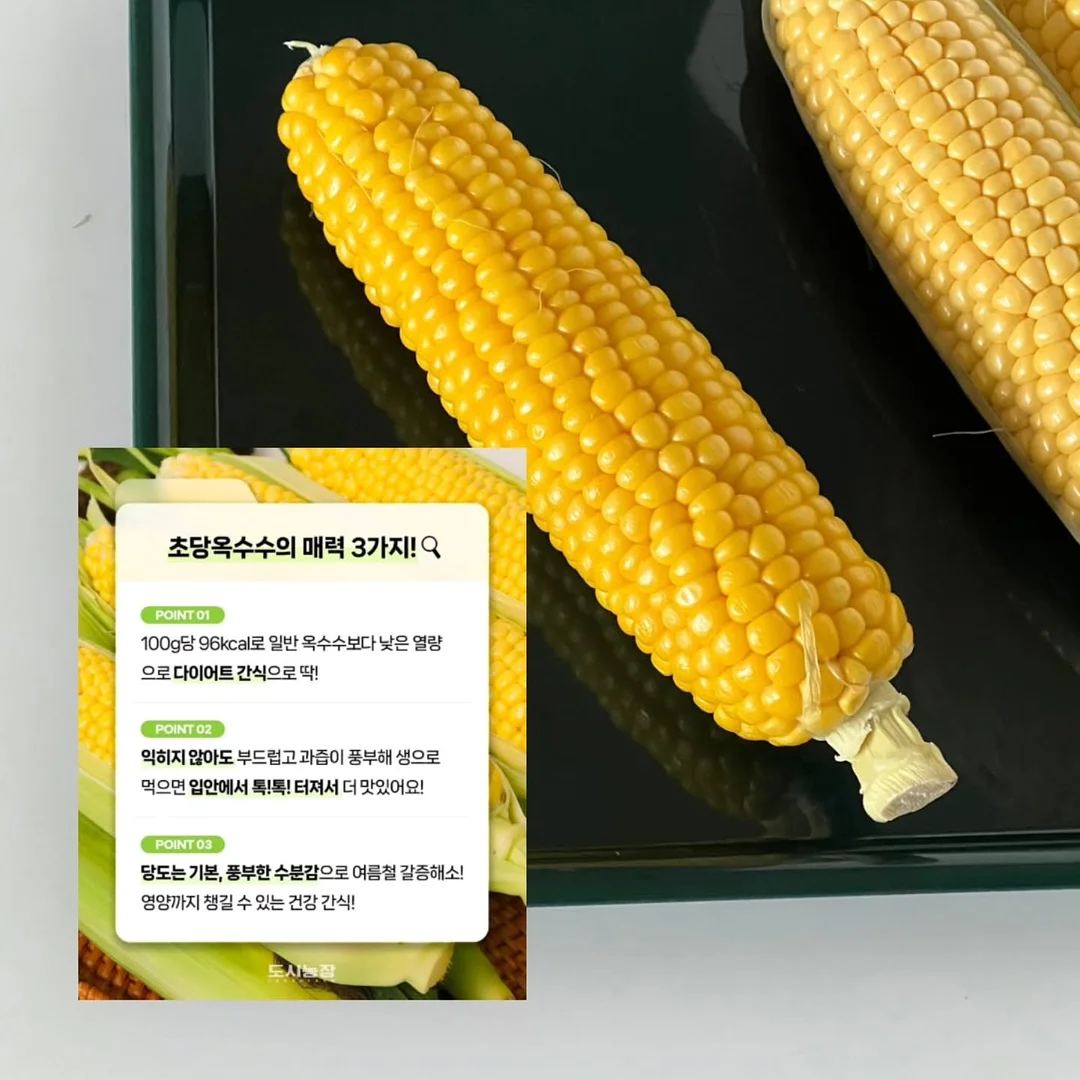 세븐일레븐 6월 1주차 신상 11