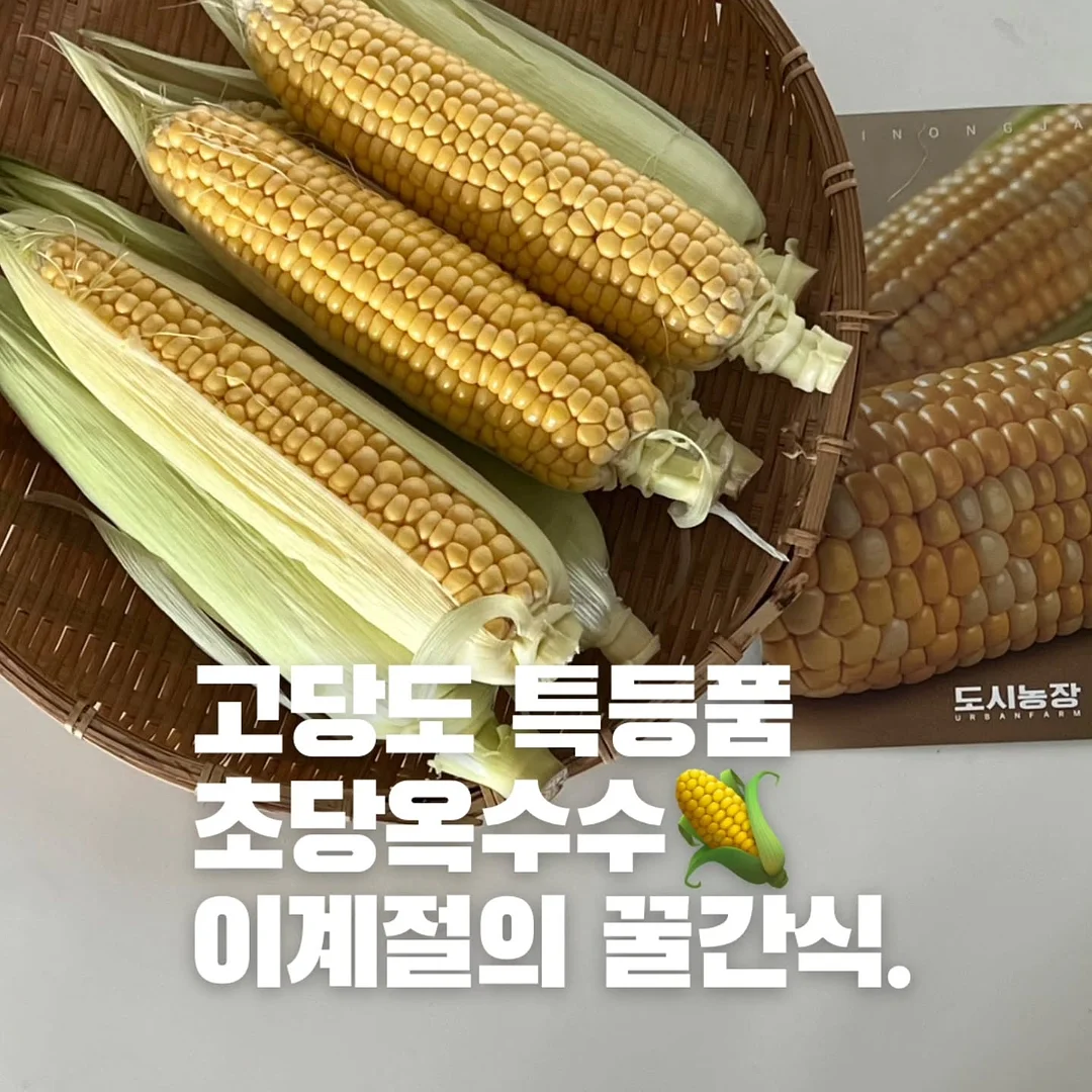 세븐일레븐 6월 1주차 신상 14