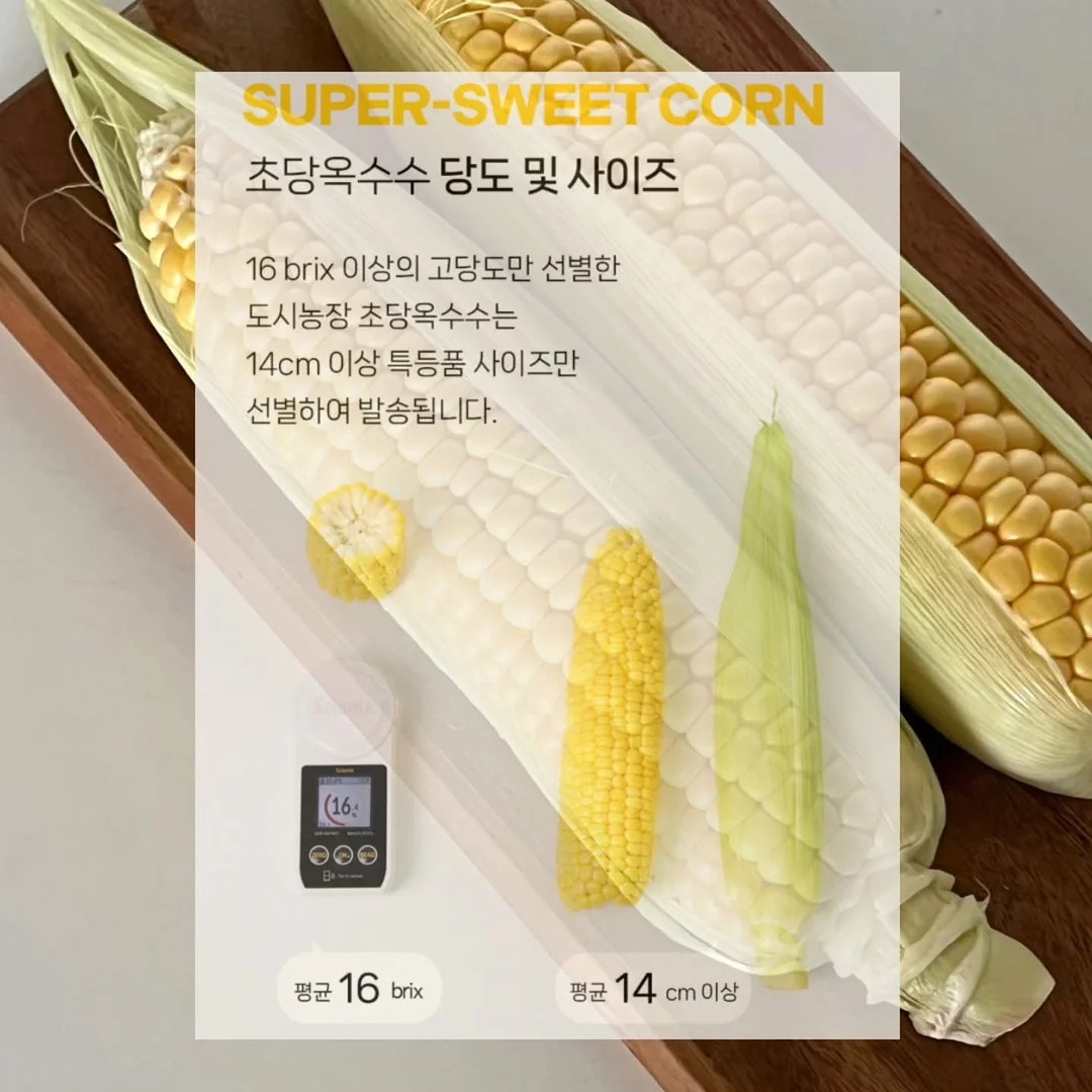 세븐일레븐 6월 1주차 신상 16