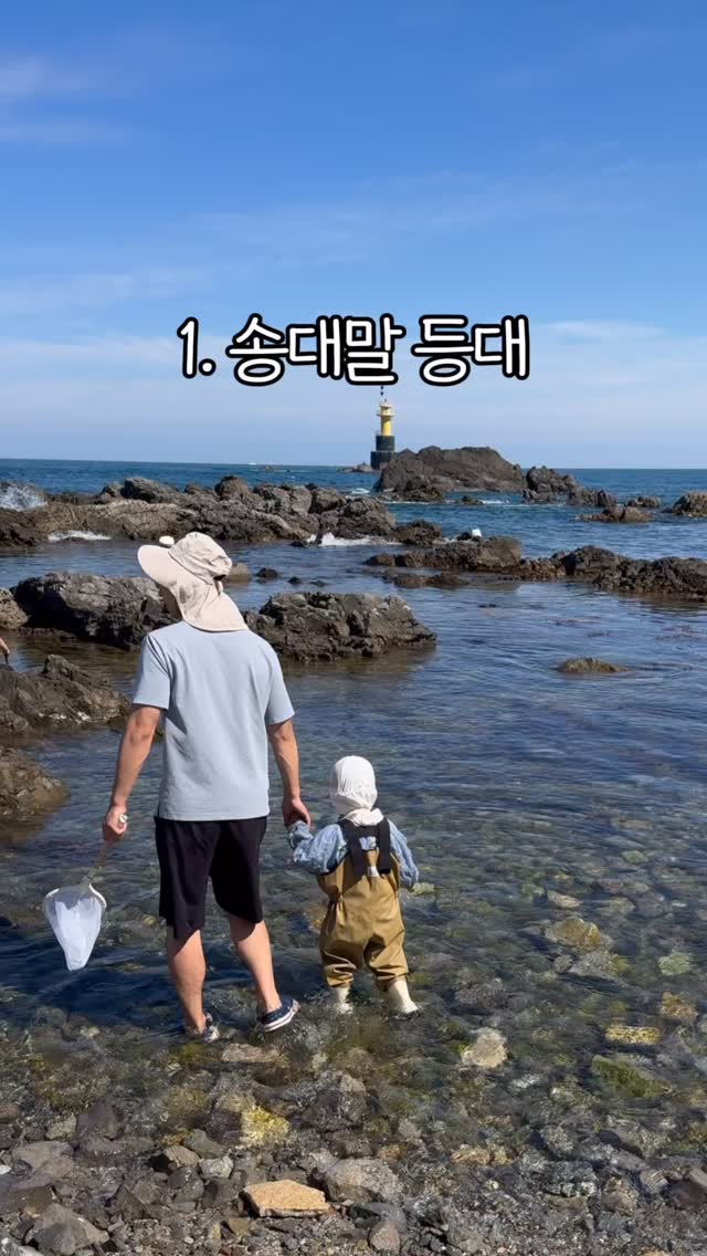 참 좋은 어린이 도감