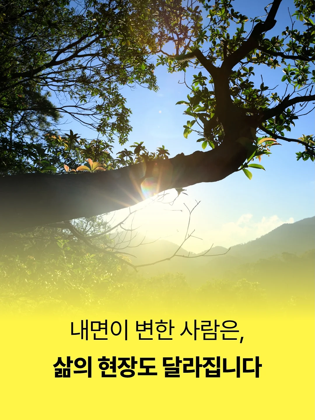 아기 목욕 보조 의자 4