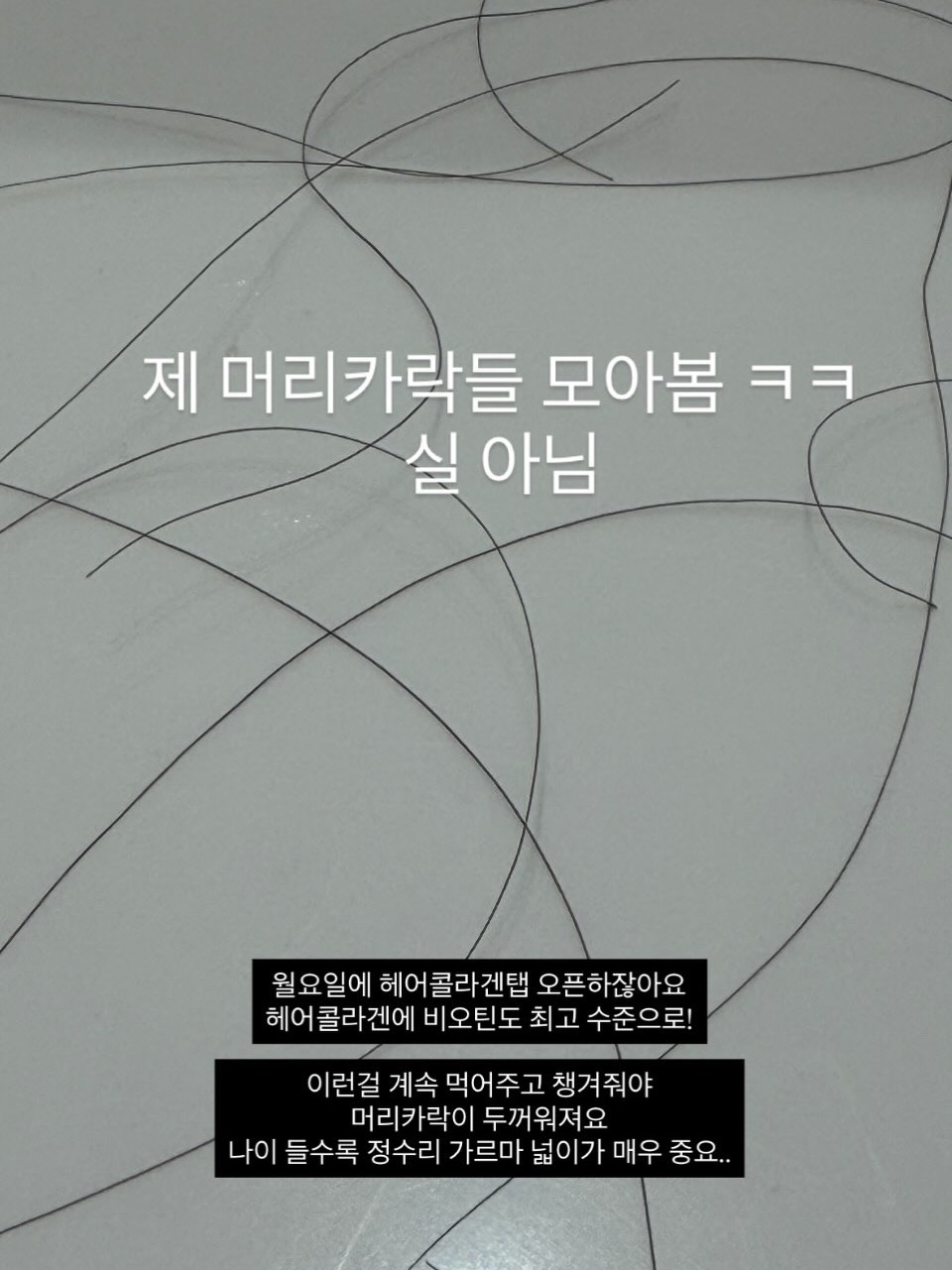 갯골산머루민박 2