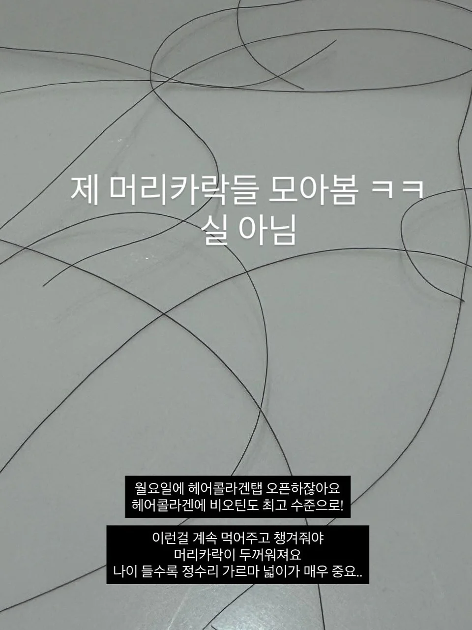 11인치 태블릿 2