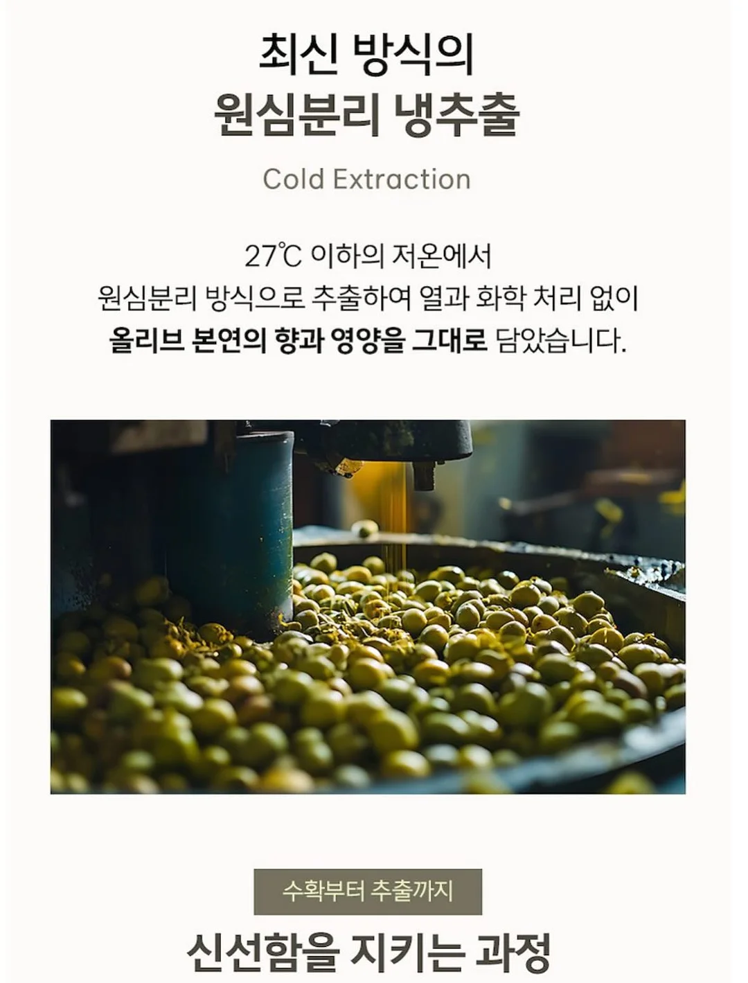 연안 연지홍게 11