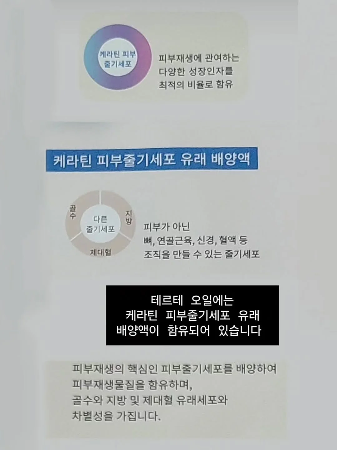 롯드펌제 5