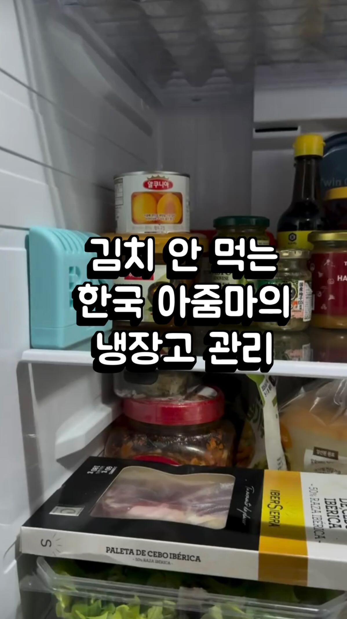 브랜든 여행 가방