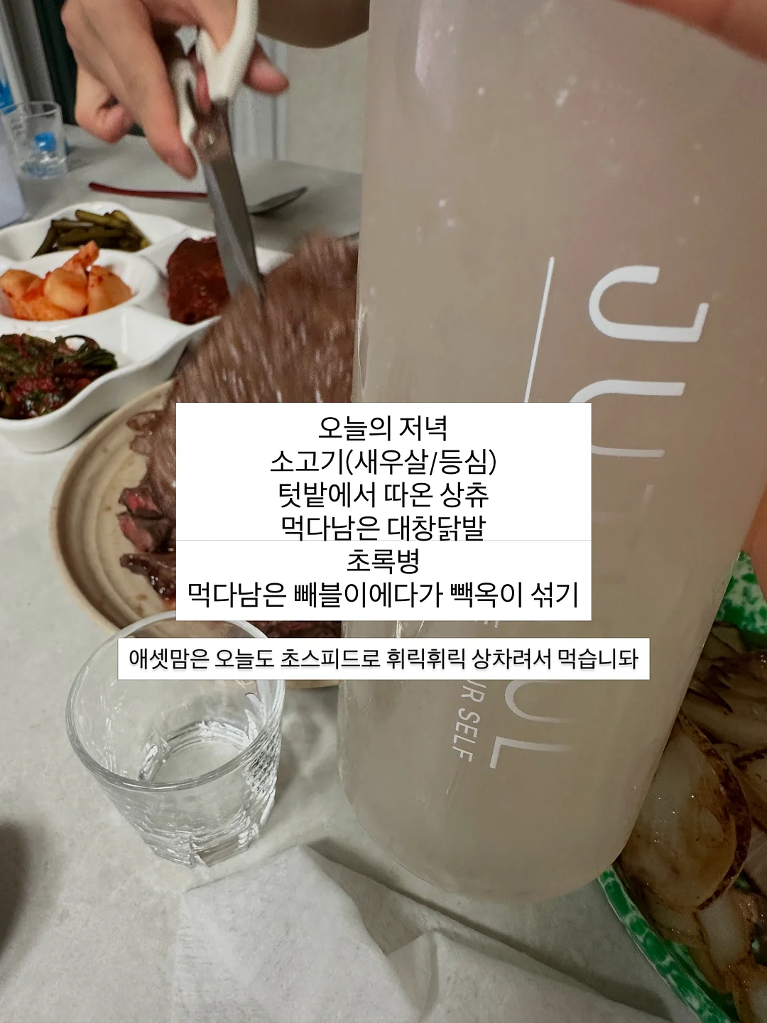 닥터리본 프로틴 3종 세트 2