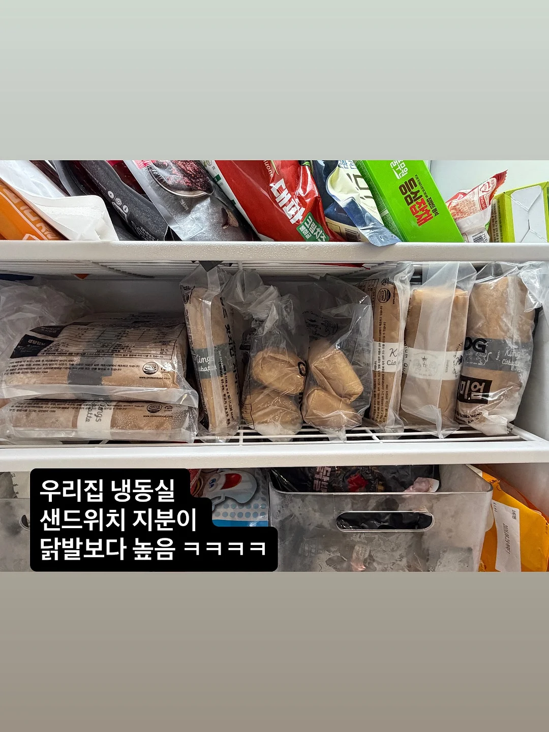 스핀 범퍼카 5