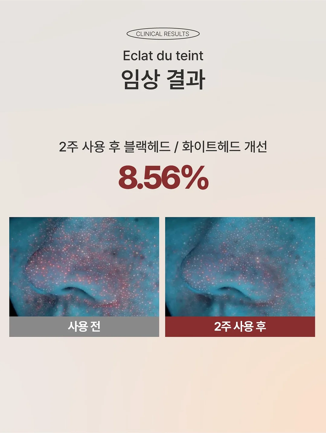 올영 1등 블러셔 13