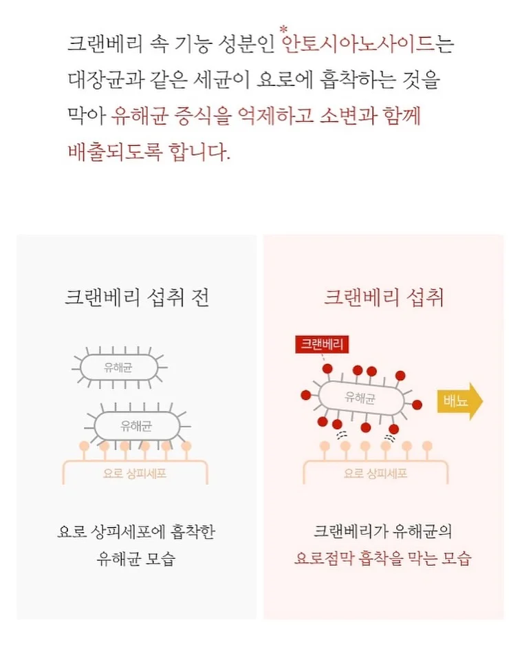 조립식 평상 6