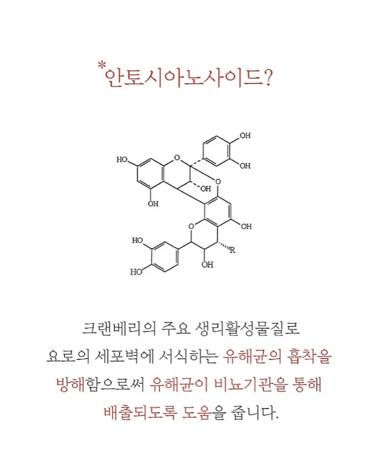 조립식 평상 7