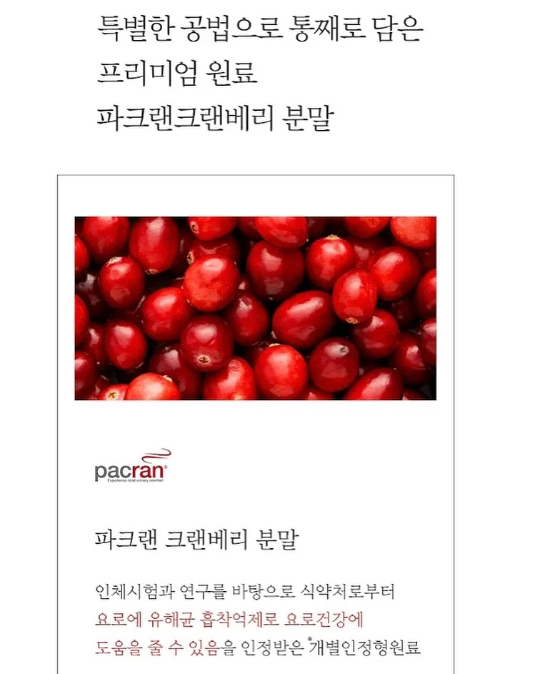 조립식 평상 8
