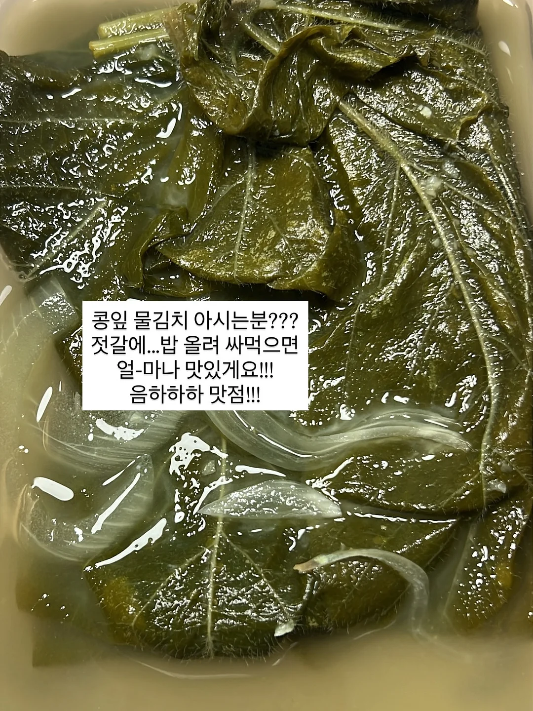동해시 대진동 바다뷰 아파트 7