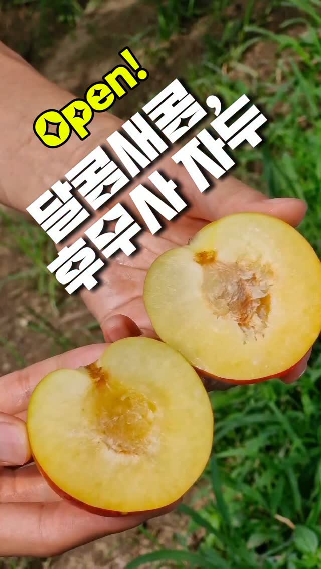 슬림 철제 수납장