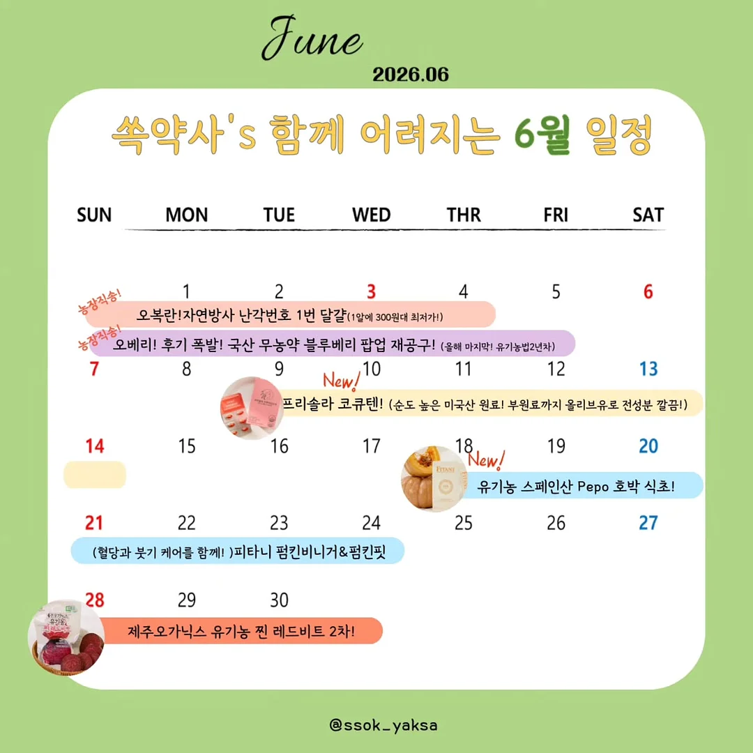 영네일 SV 자석젤