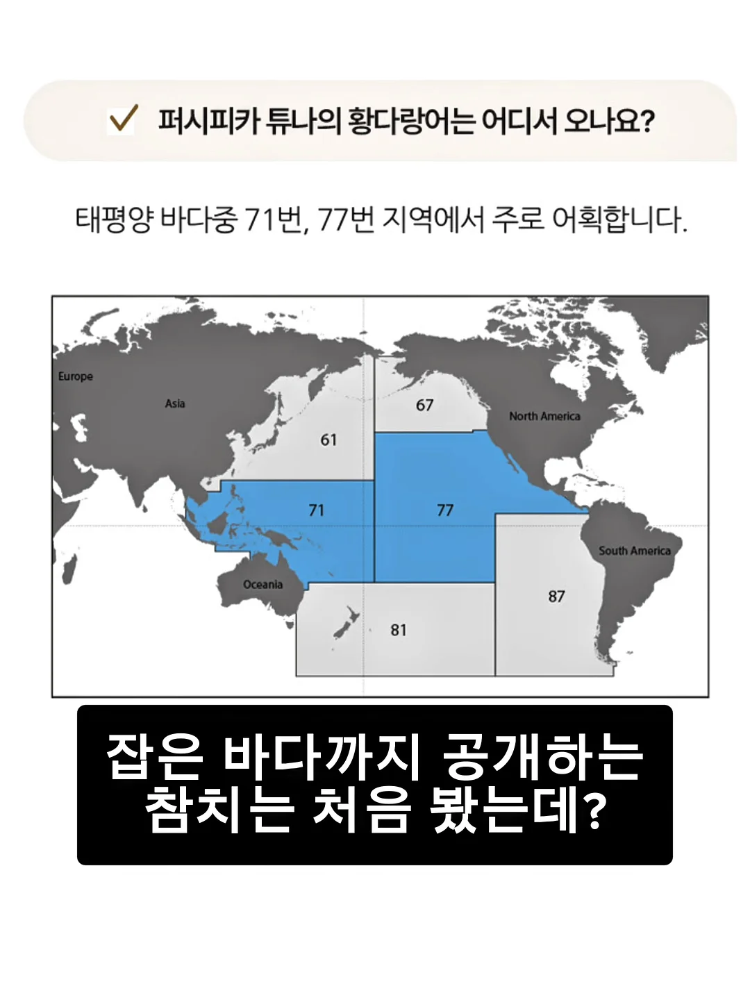 바질페스토 7