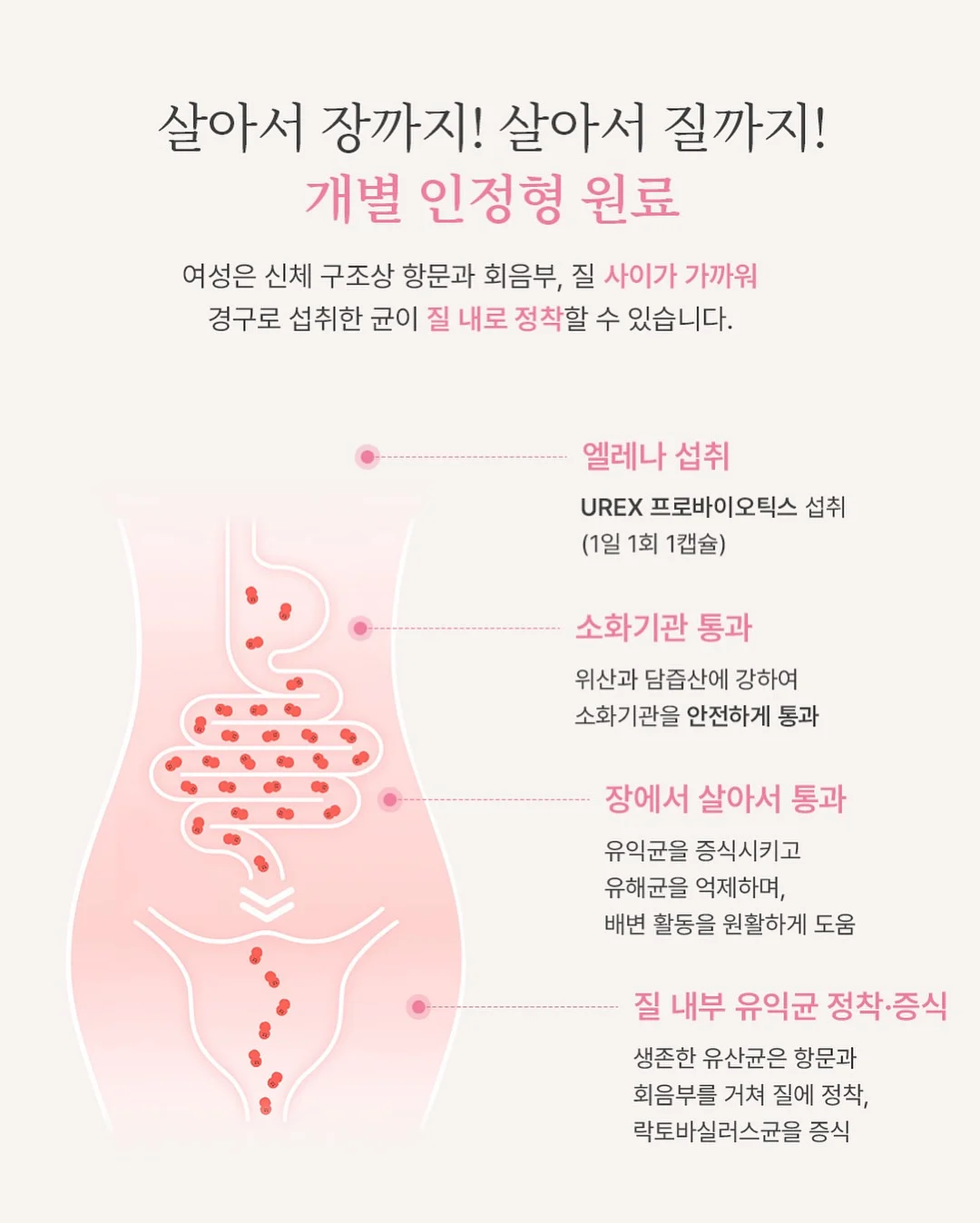 데일리소프트가디건 1