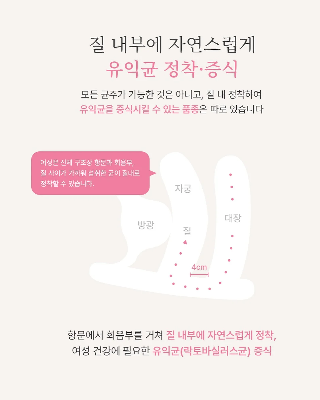 데일리소프트가디건 2