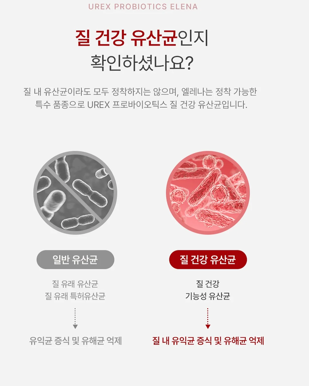 데일리소프트가디건 4