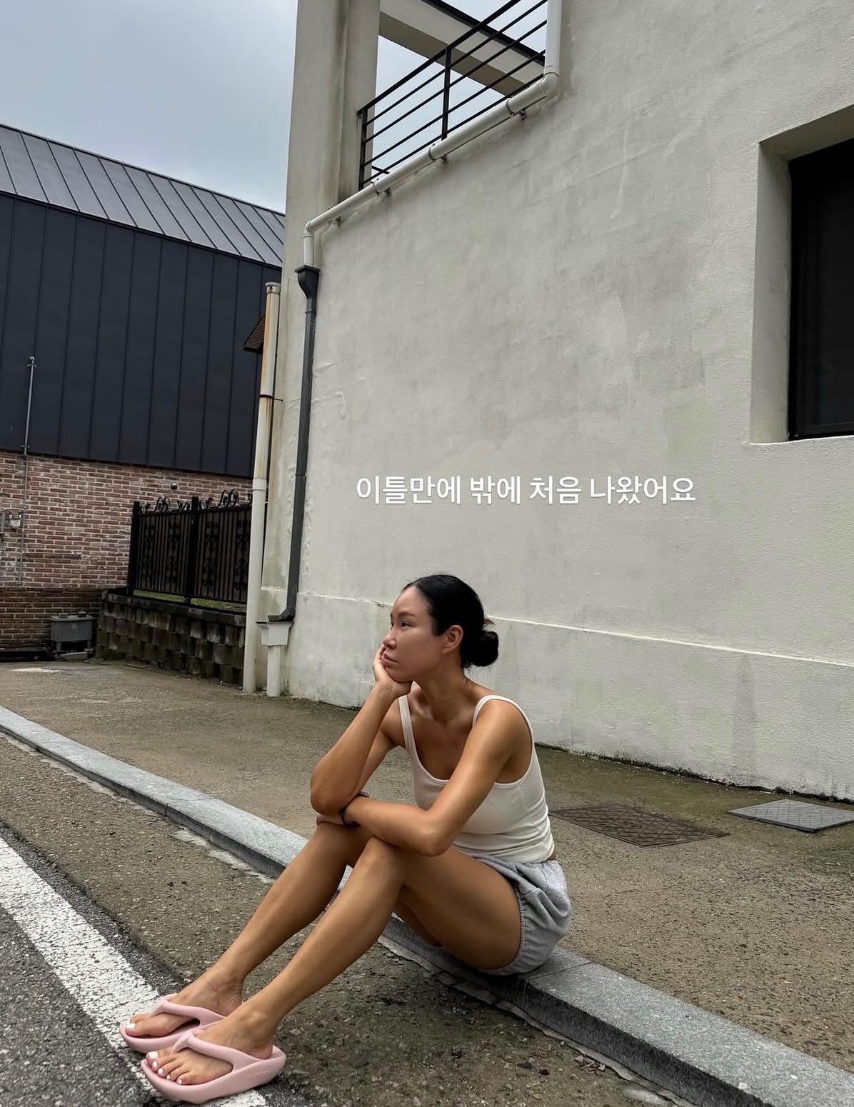 살구 샌드위치 7