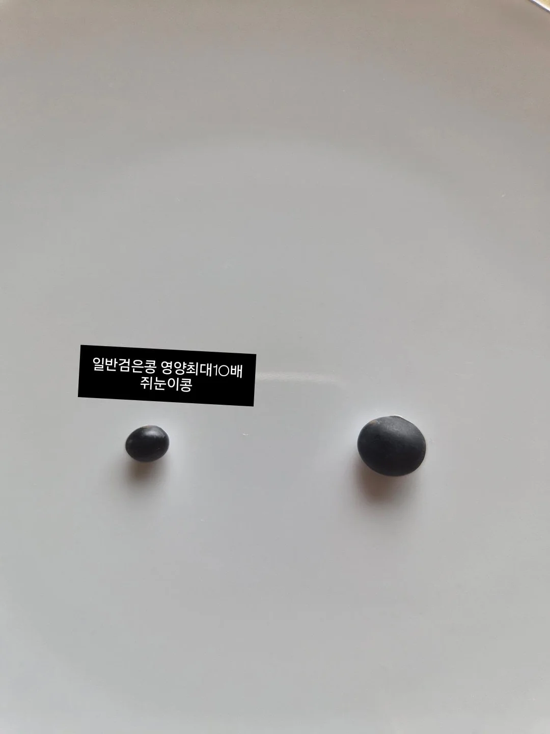 빈티지 아이템 15