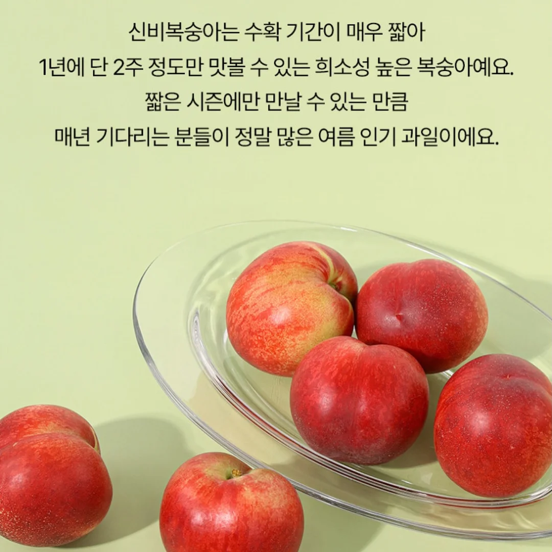 뷰티슬립 슬리핑 앰플, 히알루론플러스 앰플, 바이퍼 앰플, 수퍼센티시브 앰플, 스템셀엑티브 앰플 5