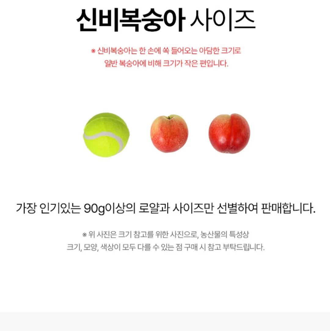 뷰티슬립 슬리핑 앰플, 히알루론플러스 앰플, 바이퍼 앰플, 수퍼센티시브 앰플, 스템셀엑티브 앰플 8