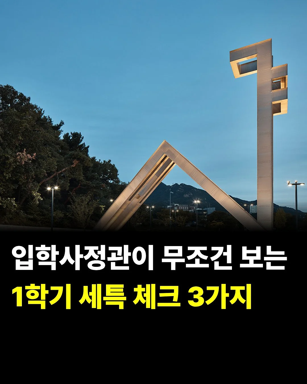 노지 완두콩