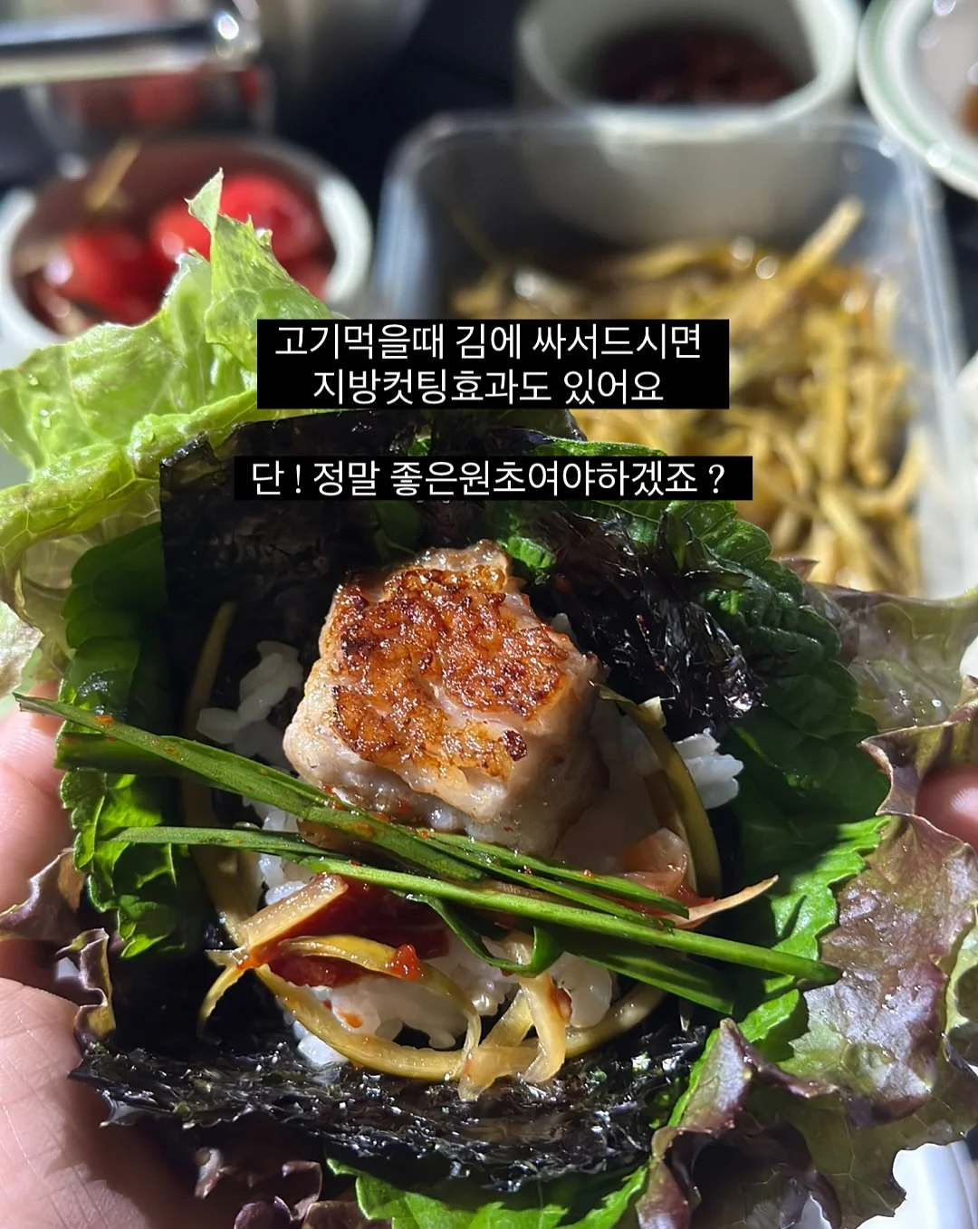 냄비 덮개 14