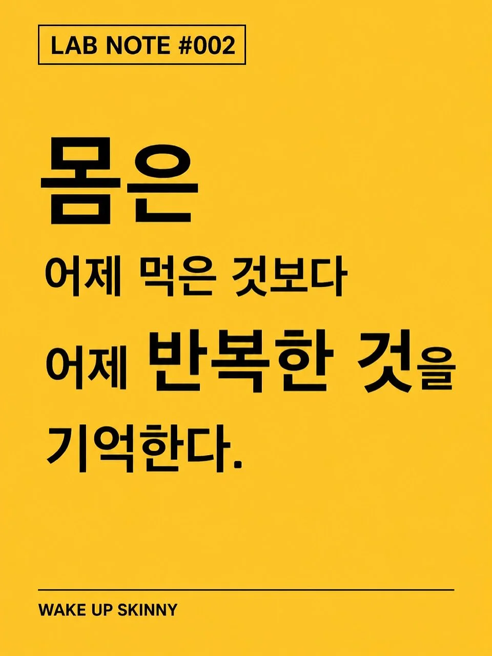 쥬시팔레트2 2