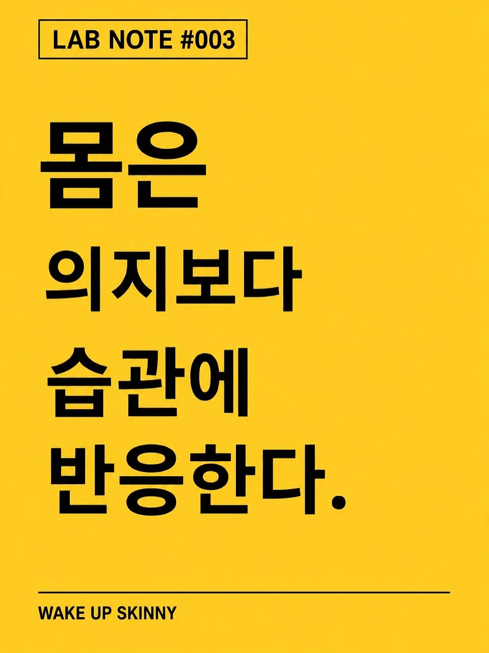 쥬시팔레트2 3