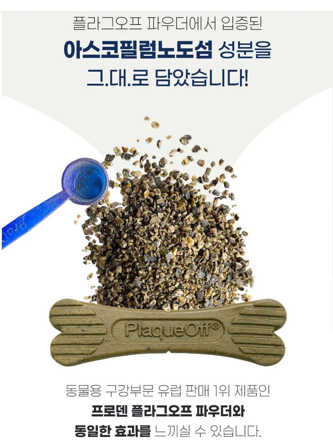 소다이벤트 네일 11