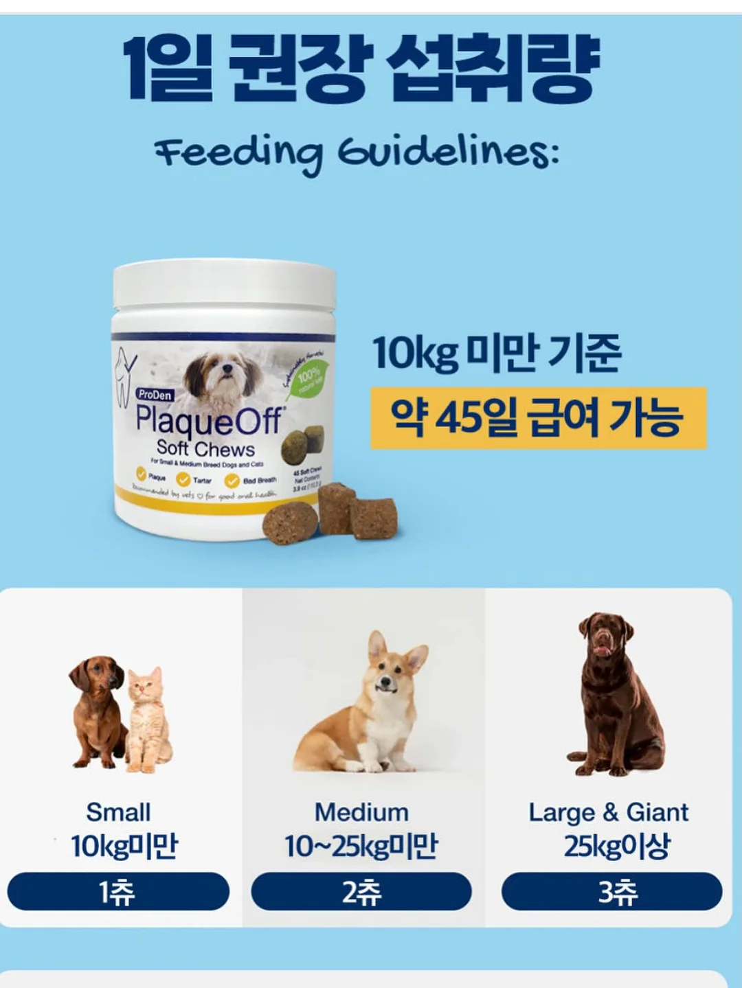 소다이벤트 네일 15