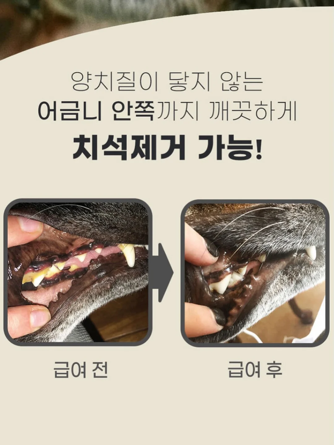 소다이벤트 네일 2