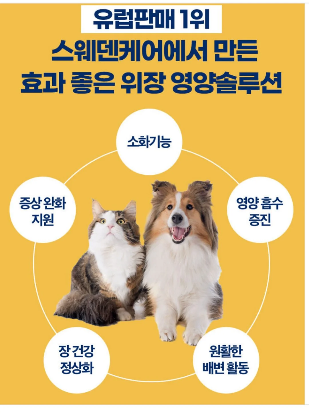 소다이벤트 네일 7