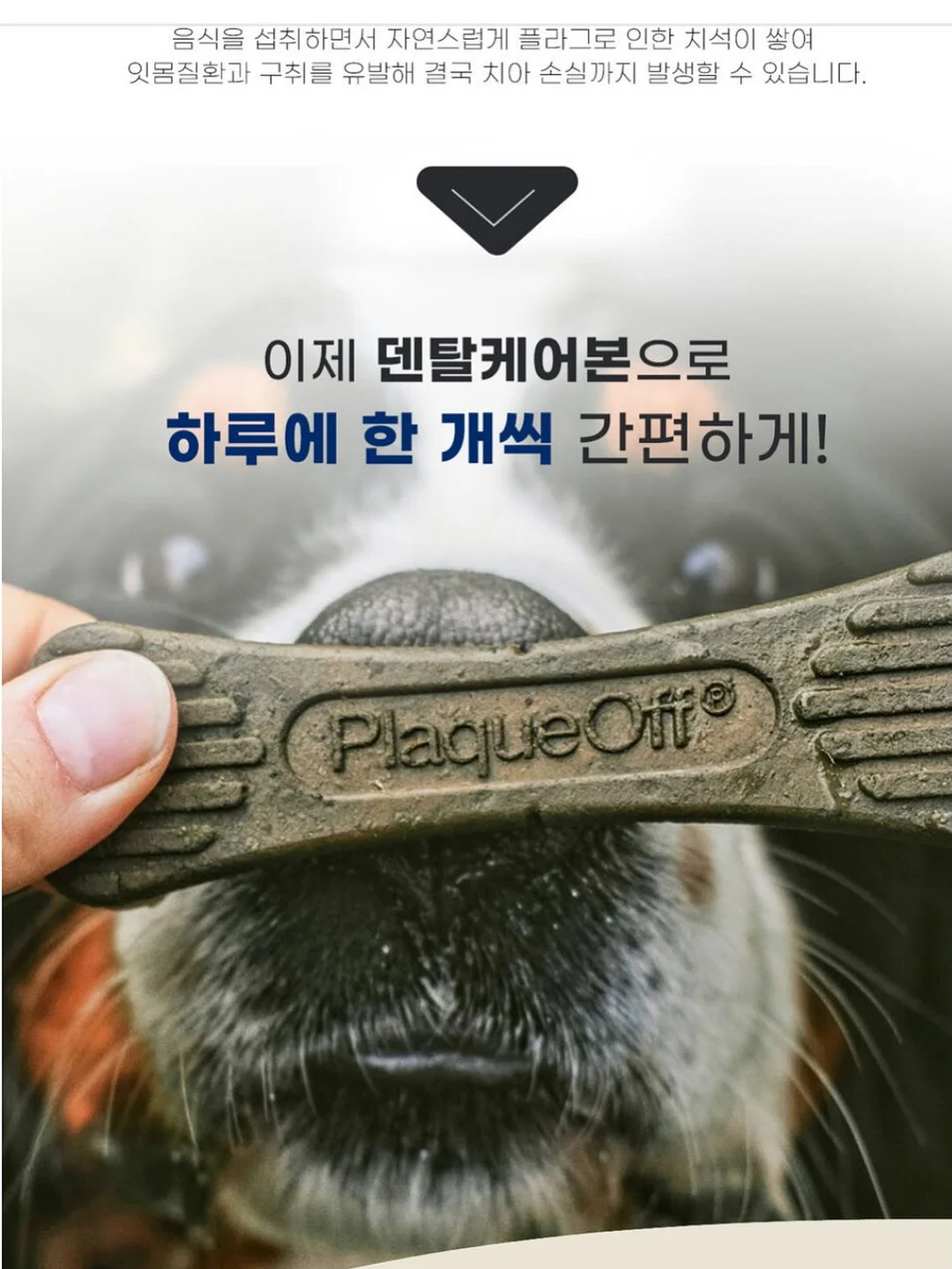 소다이벤트 네일 10