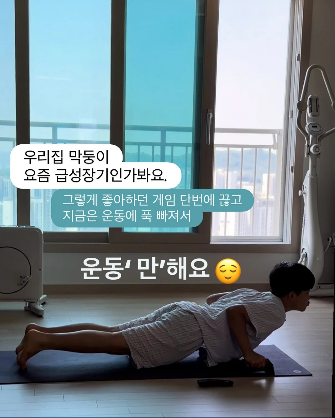 블루베리맛 블랙 다이아 토마토 2