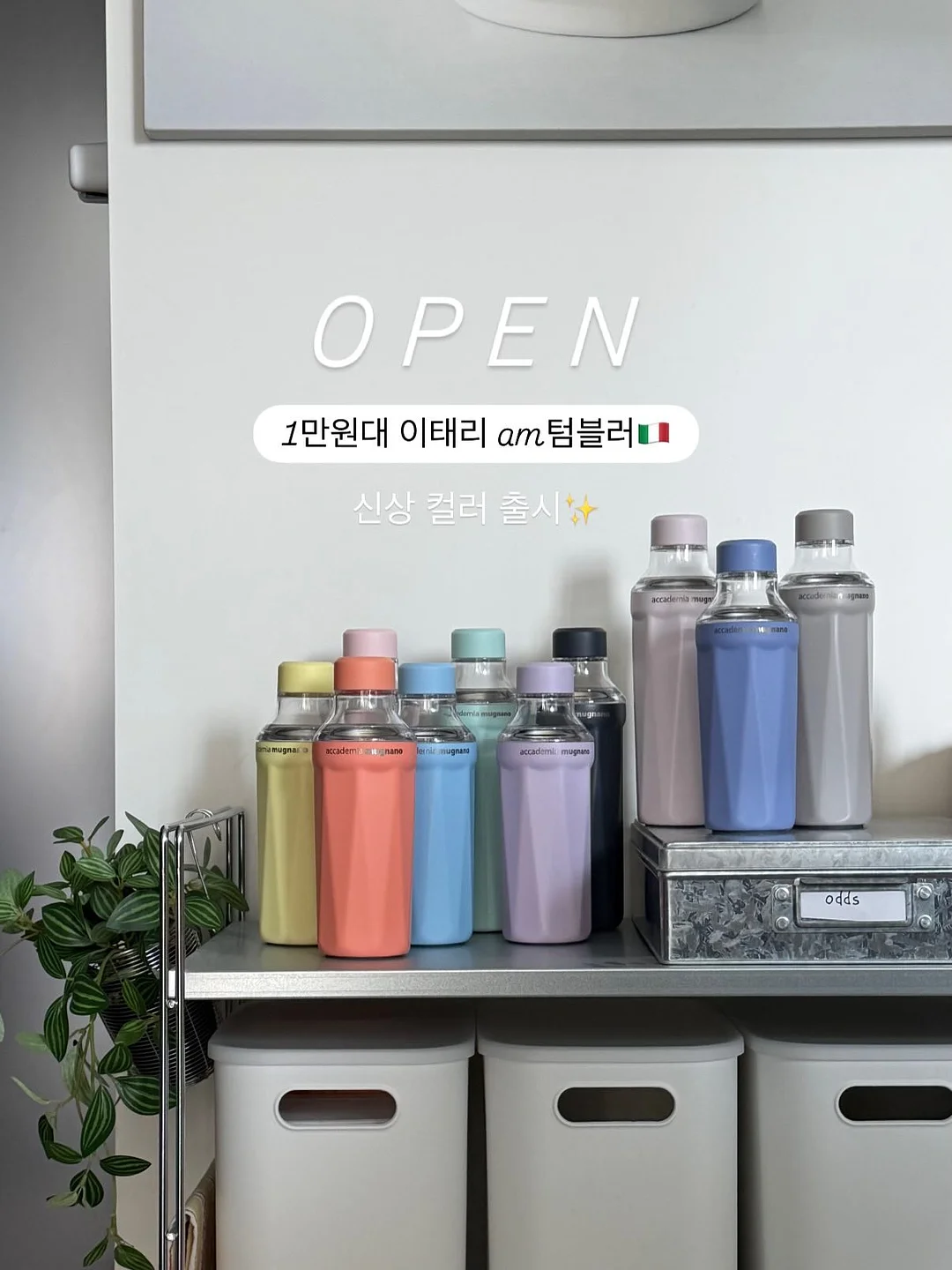 여름 상의 1