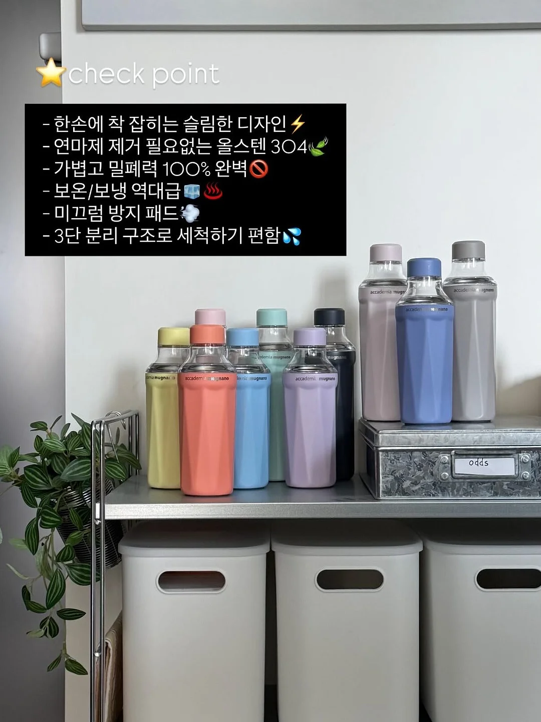 여름 상의 11
