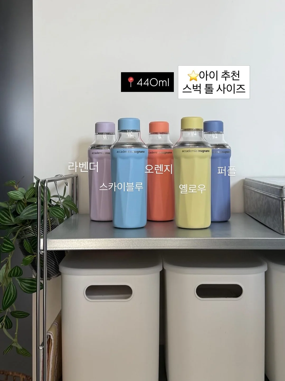 여름 상의 4