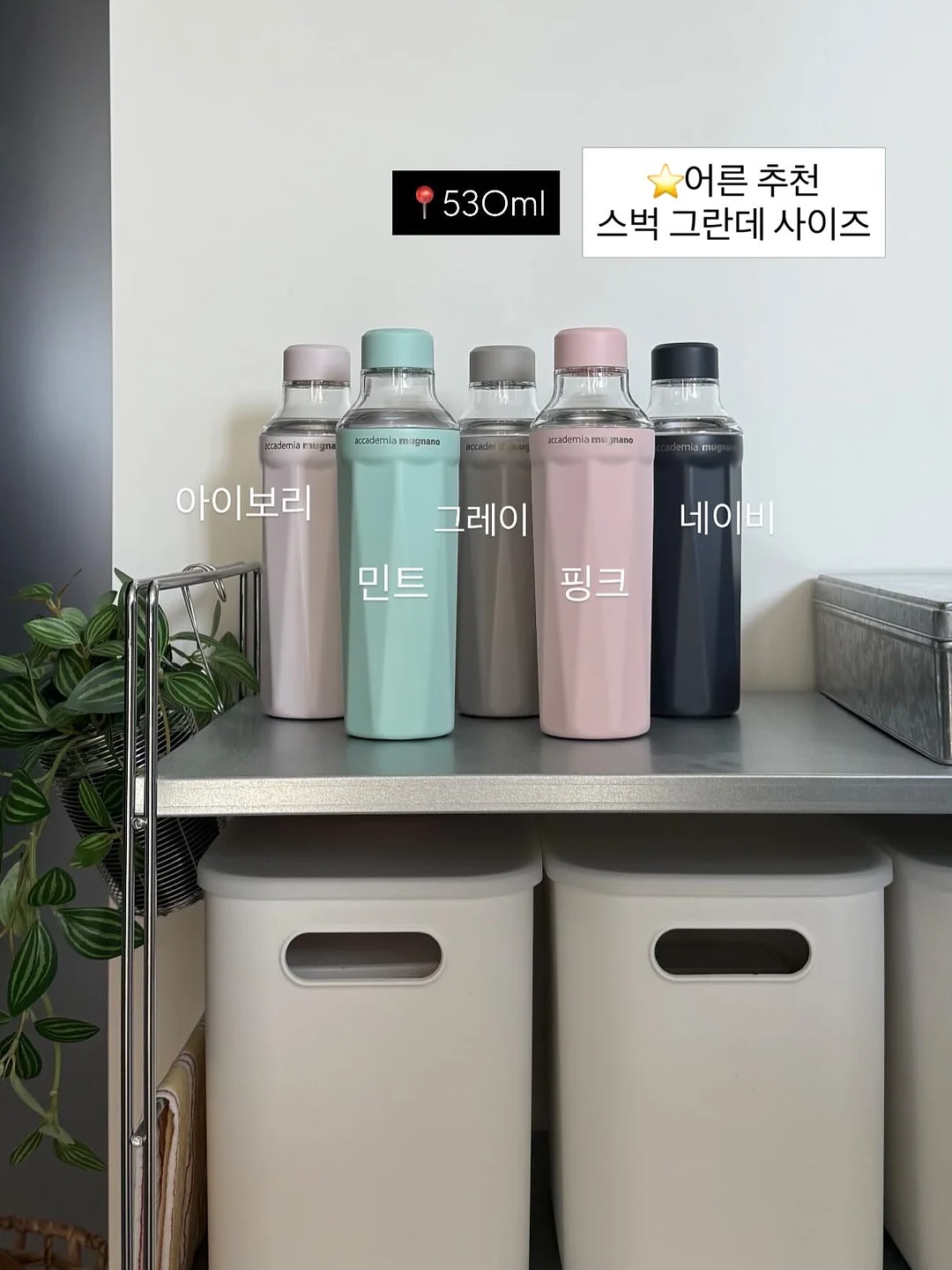 여름 상의 5