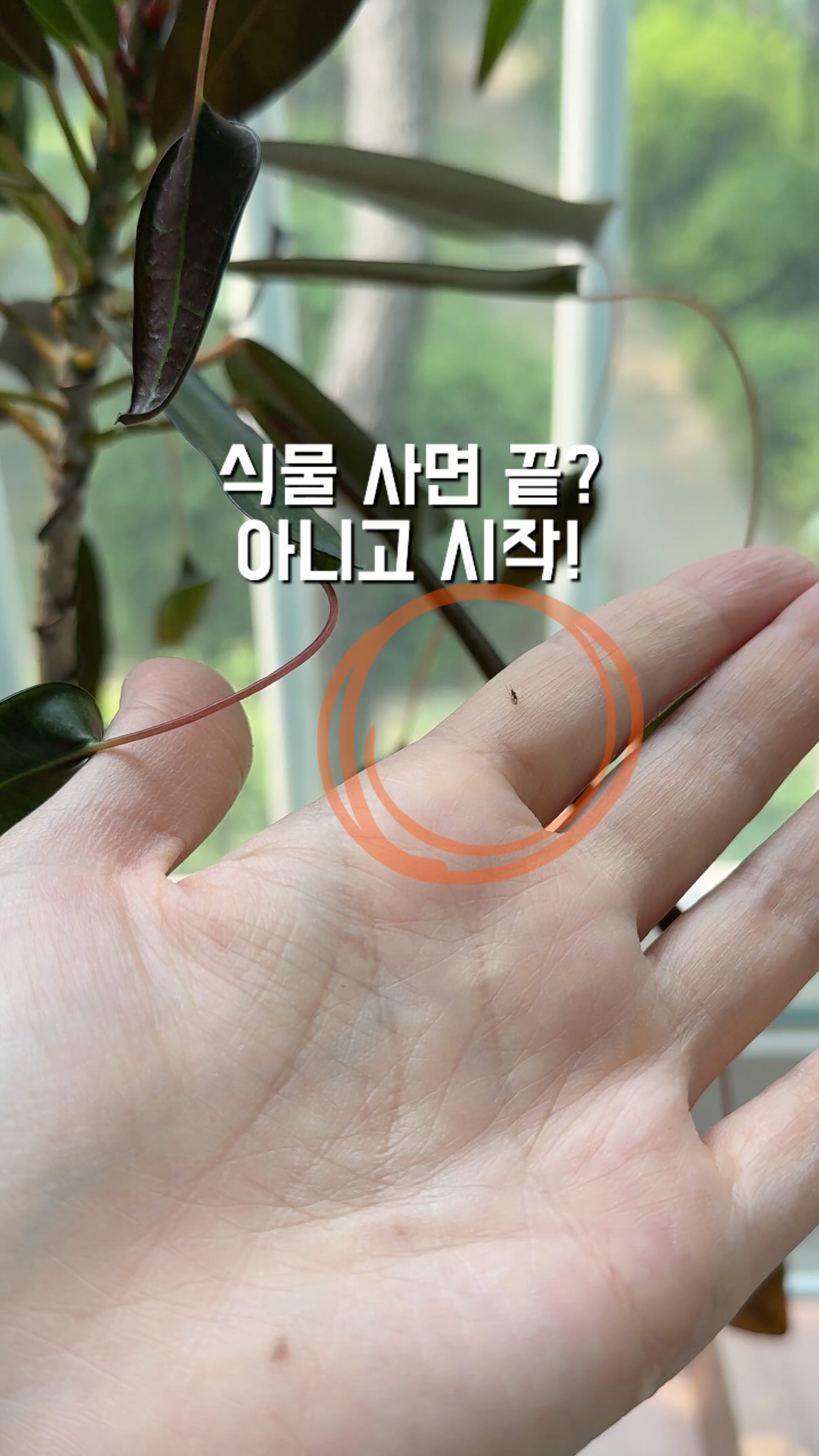 모온 오비큠 무선청소기