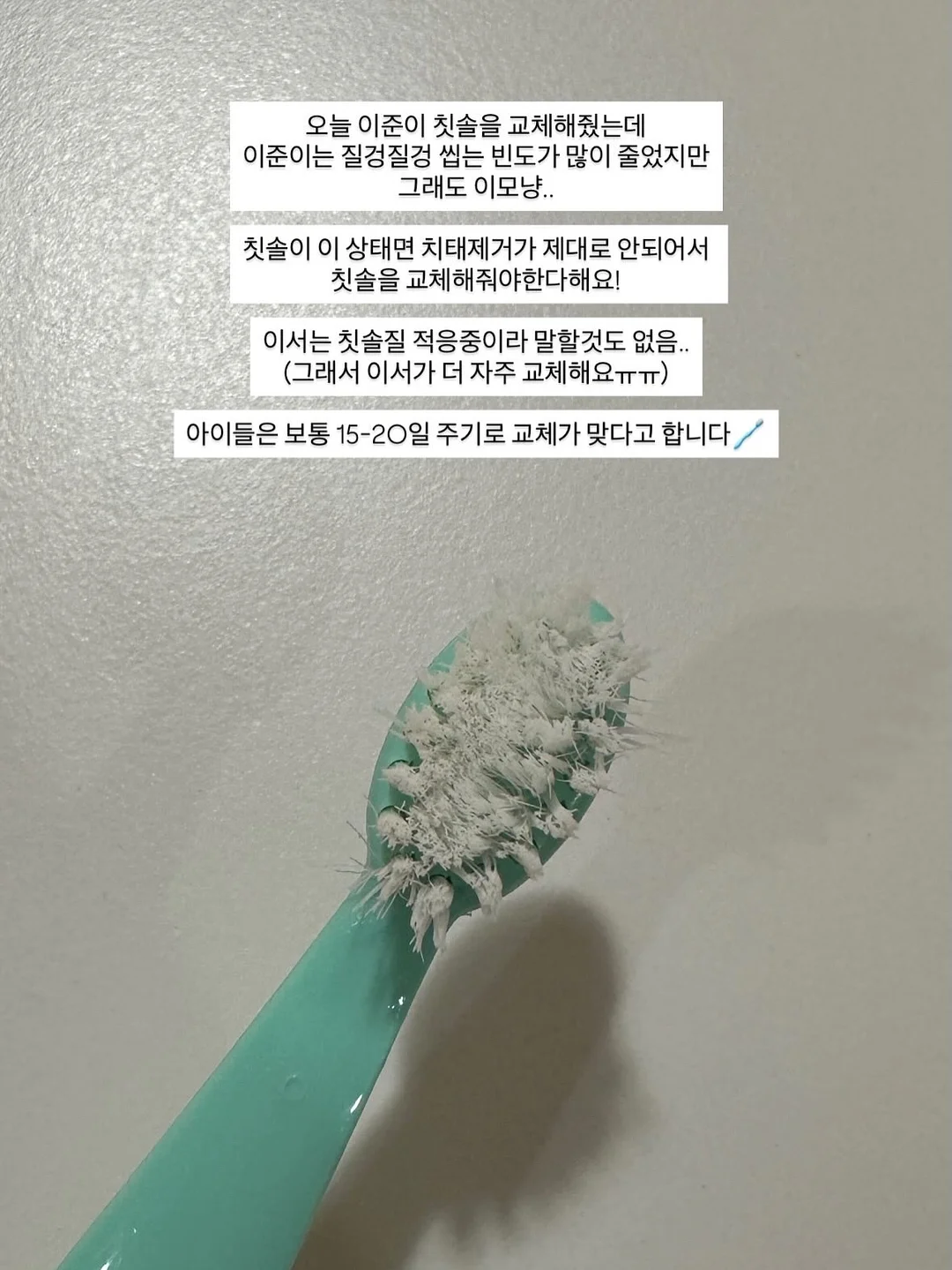 미니 새로 13