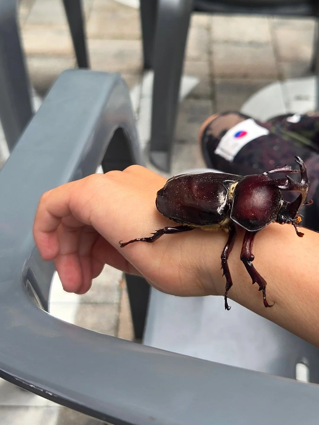 부산 다과 도시락 7