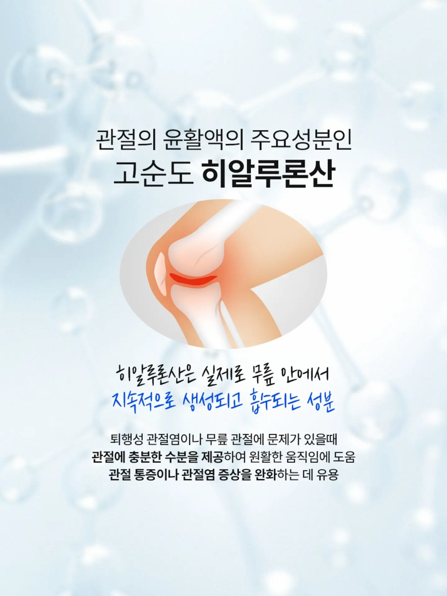 오니츠카 멕시코 66 사보 뮬 4